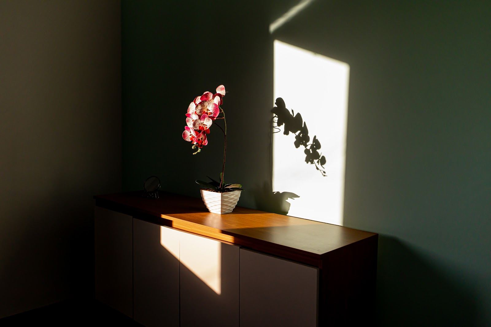 Detalhes — Pousada Casa Shanti